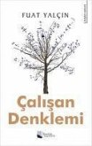 Calisan Denklemi