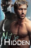 Not So Hidden (Hidden Love Series, #2) (eBook, ePUB) Not So Hidden (Hidden Love Series, #2) (eBook, ePUB)