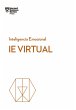 IE Virtual (eBook, PDF) - Bild 1