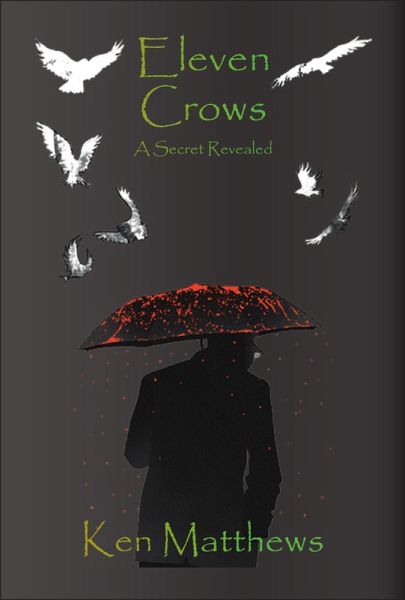 Eleven Crows (eBook, ePUB) Eleven Crows (eBook, ePUB)