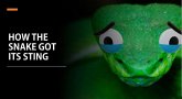 How the snake got its sting (eBook, ePUB)