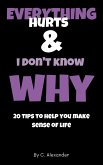 Everything hurts & I don't know why: 20 tips to help you make sense of life (eBook, ePUB)