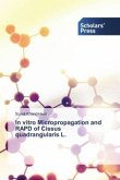 In vitro Micropropagation and RAPD of Cissus quadrangularis L.