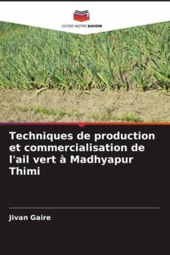 Techniques de production et commercialisation de l'ail vert à Madhyapur Thimi - Gaire, Jivan