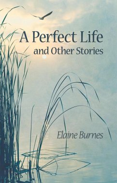 Cover A Perfect Life and Other Stories (eBook, ePUB)