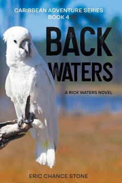 Back Waters - Stone, Eric Chance