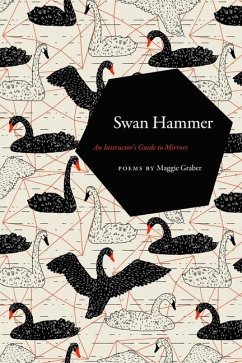 Swan Hammer: An Instructor's Guide to Mirrors - Graber, Maggie