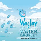 Wesley the Water Droplet