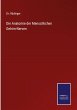 Die Anatomie der Menschlichen... - Bild 1