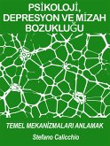 Psi̇koloji̇, depresyon ve mi̇zah bozukluğu: temel mekani̇zmalari anlamak (eBook, ePUB)