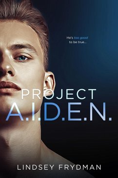 Project A.I.D.E.N. (eBook, ePUB) - Frydman, Lindsey