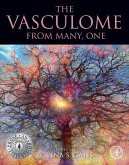 The Vasculome (eBook, ePUB)