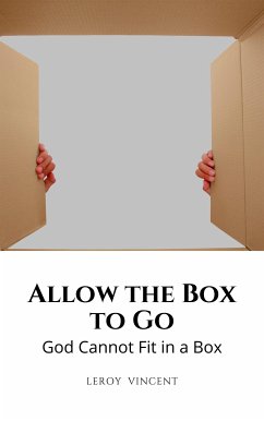 Allow the Box to Go (eBook, ePUB) - Vincent, Leroy