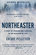 Northeaster (eBook, ePUB) - Bild 1