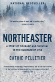 Northeaster (eBook, ePUB)