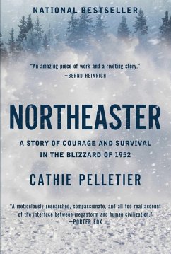 Northeaster (eBook, ePUB) - Pelletier, Cathie