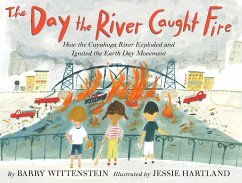 The Day the River Caught Fire (eBook, ePUB) - Wittenstein, Barry