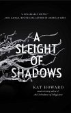 A Sleight of Shadows (eBook, ePUB)