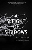 A Sleight of Shadows (eBook, ePUB)