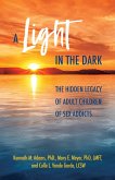 A Light in the Dark (eBook, ePUB)