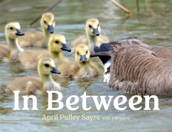 In Between (eBook, ePUB) - Sayre, April Pulley