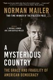 A Mysterious Country (eBook, ePUB)