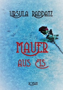 Mauer aus Eis (eBook, ePUB) - Raddatz, Ursula