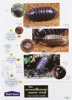 The Woodlouse Name Trail - Hopkin, Stephen P. The Woodlouse Name Trail - Hopkin, Stephen P.