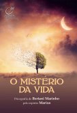 O Mistério da vida (eBook, ePUB)