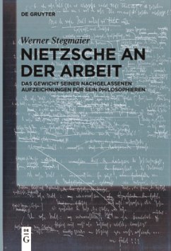 Nietzsche an der Arbeit - Stegmaier, Werner