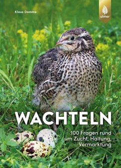 Wachteln (eBook, PDF) - Damme, Klaus