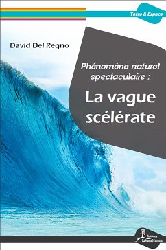Phénomène naturel spectaculaire: la vague scélérate (eBook, ePUB) - Del Regno, David