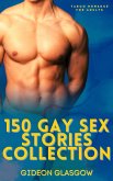 150 Gay Sex Stories Collection (eBook, ePUB)