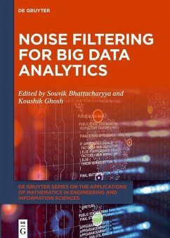 Cover Noise Filtering for Big Data Analytics (eBook, PDF)