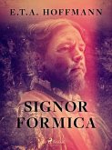 Signor Formica (eBook, ePUB)