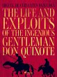 The life and exploits of the ingenious... - Bild 1