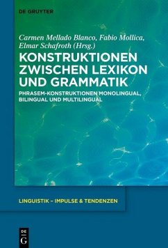 Konstruktionen zwischen Lexikon und Grammatik (eBook, PDF)