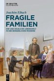 Fragile Familien (eBook, PDF)