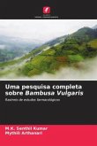 Uma pesquisa completa sobre Bambusa Vulgaris