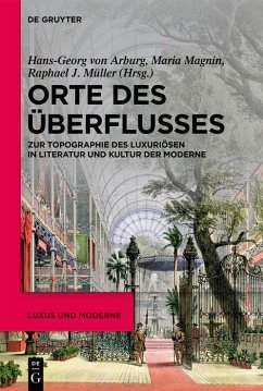 Orte des Überflusses (eBook, PDF)