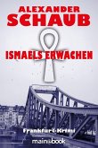 Ismaels Erwachen (eBook, ePUB)