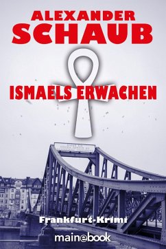 Ismaels Erwachen (eBook, ePUB) - Schaub, Alexander