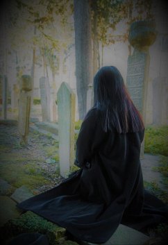 Cover Basculement (eBook, ePUB)