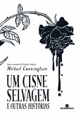 Um cisne selvagem e outras histórias (eBook, ePUB)