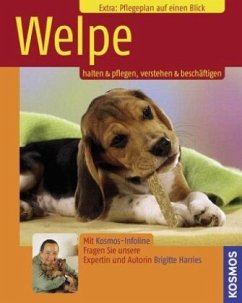 Welpe 