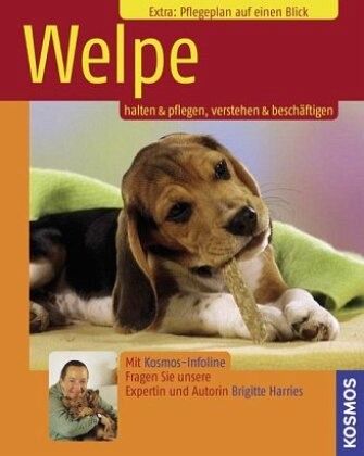 Welpe  - Harries, Brigitte