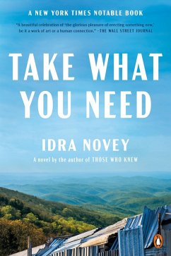 Take What You Need (eBook, ePUB) - Novey, Idra
