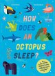 How Does An Octopus Sleep? (eBook, ePUB) - Bild 1