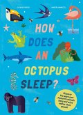 How Does An Octopus Sleep? (eBook, ePUB)