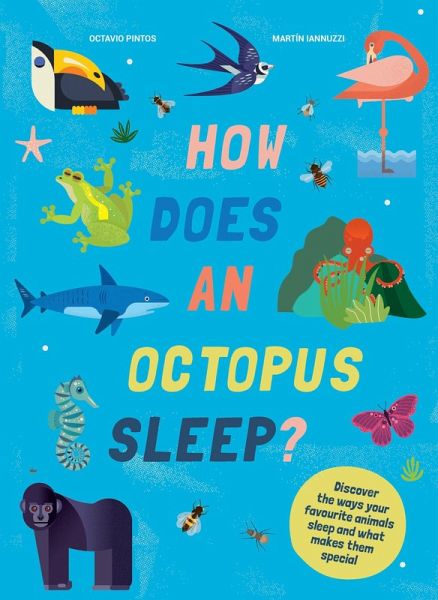 How Does An Octopus Sleep? (eBook, ePUB) How Does An Octopus Sleep? (eBook, ePUB)